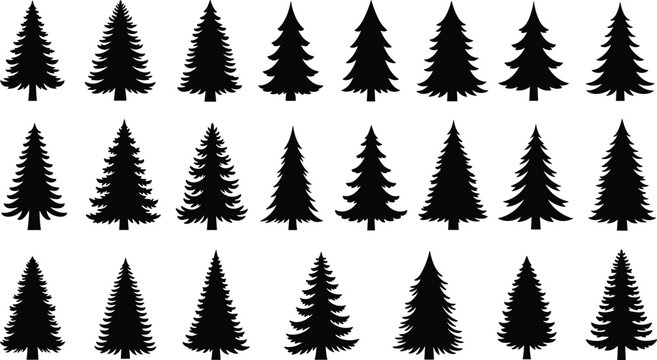Collection of black pine and fir tree silhouettes in various shapes, minimalist evergreen forest vector set for winter design, Christmas projects, logos, posters, branding, and nature graphics