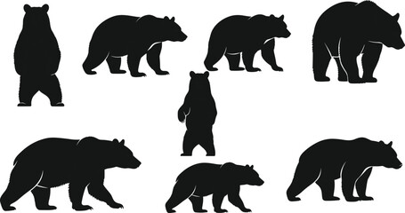 Collection of realistic black bear silhouettes in walking, standing, and upright poses, wild animal vector illustration set isolated on white background for wildlife and nature design © Monteza