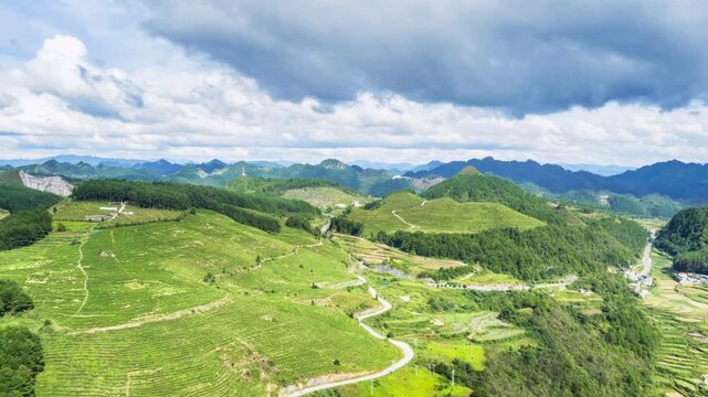 Aerial time-lapse of terraced tea plantations on rolling hills, sustainable rural agriculture and serene natural beauty, Guizhou Province, China