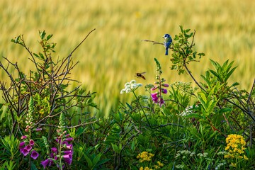 Vibrant blue bird perched on branch amidst blooming wildflowers