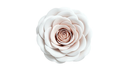 3D Render of a Delicate Light Pink Camellia Flower