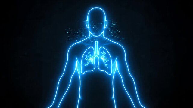 Human Lungs Glowing Blue in Silhouette Respiratory System Medical Science.