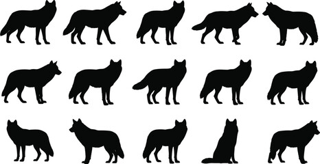 Fototapeta premium Wolf silhouette collection in various poses, black animal icons for wildlife design, nature illustration, predator motion and behavior study