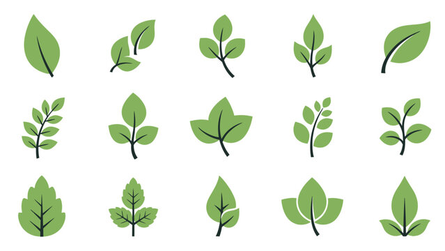 Collection of various green leaf types.