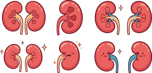 Obraz premium Cute Cartoon Kidney Icon Set for Anatomy Education and Medical Health Vector Illustration