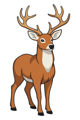 Fototapeta premium Standing White-Tailed Buck with Large Antlers Clipart Isolated on Transparent Background