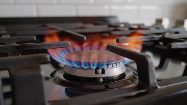 A close-up of a lit gas burner, showcasing the flames and burner details
