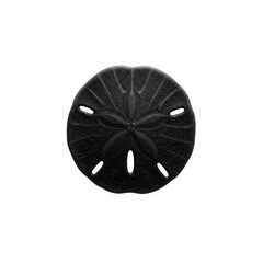 Black sand dollar on Transparent Background