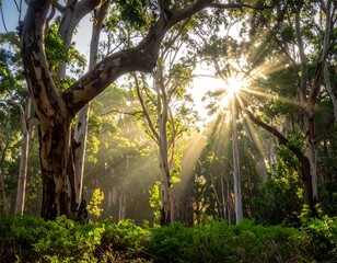 A forest scene with sunbeams filtering through trees (1)