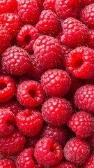 Close-up of vibrant, textured red raspberries, densely packed