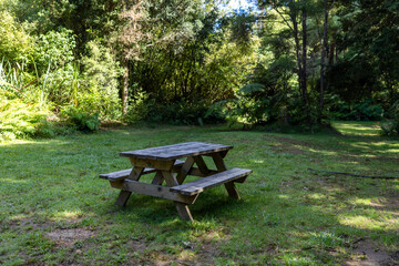 Naklejka premium A wooden picnic table sits on a grassy campground lawn surrounded by lush trees in Broken Hills, Hikuai, Coromandel Peninsula, New Zealand, inviting visitors to relax and enjoy the natural beauty.