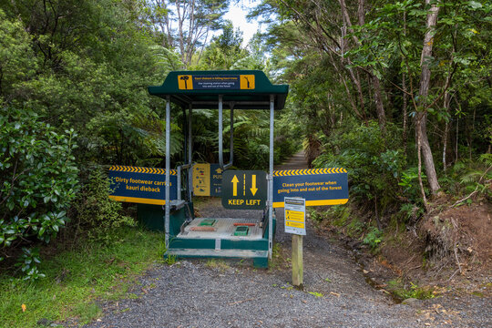Footwear cleaning station in New Zealand, to prevent the spread of Kauri dieback disease, which is killing Kauri trees.  Broken Hills, Hikuai, Coromandel Peninsula, New Zealand.