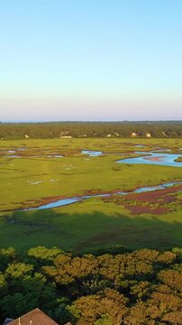 Vertical drone aerial over winding salt marsh channels and green wetlands in warm golden light. Tall-frame coastal landscape with meandering creek reflections and layered horizon, cinematic 4K b-roll.
