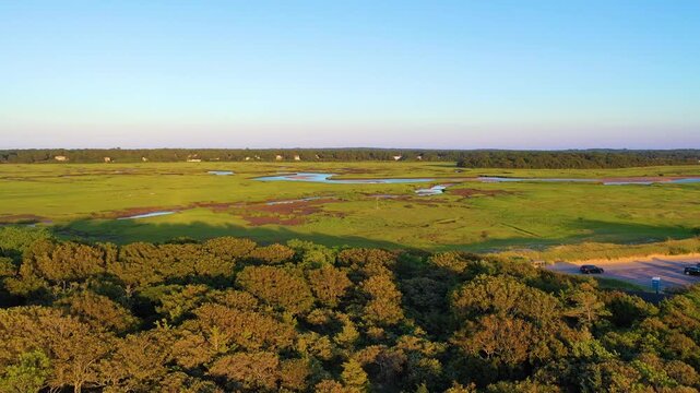Drone aerial across expansive Cape Cod marsh flats, braided tidal creeks, and sunlit wetlands stretching toward the tree line. Scenic coastal ecosystem, smooth cinematic 4K b-roll.