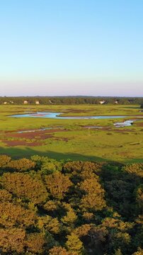 Vertical drone aerial across expansive Cape Cod marsh flats, braided tidal creeks, and sunlit wetlands stretching toward the treeline. Scenic portrait-format coastal ecosystem, cinematic 4K b-roll.