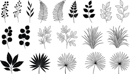 Hand drawn botanical leaves, tropical fern silhouettes, floral branch sketches, forest foliage elements, minimalist plant greenery icons, organic nature vector. © MostMonira