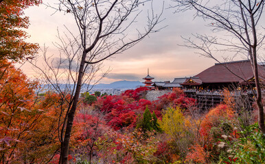 Gion,The district was built to accommodate the needs of travellers and visitors to the shrine.It eventually evolved to become one of the most exclusive and well-known geisha districts in all of Japan