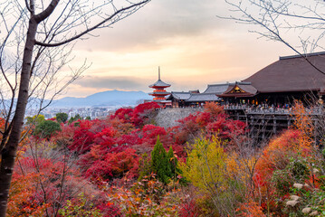 Gion,The district was built to accommodate the needs of travellers and visitors to the shrine.It eventually evolved to become one of the most exclusive and well-known geisha districts in all of Japan