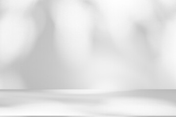 Obraz premium Wall interior background, studio and backdrops show products.with shadow from window color white and grey. background for text insertion and presentation product 