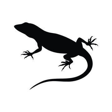 Stylized silhouette of a lizard, black and white vector illustration, A black and white vector illustration of a stylized lizard silhouette