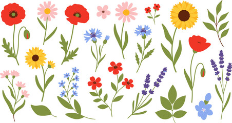 Fototapeta premium Vibrant Wildflower and Leaf Collection Vector Illustration Set on Light Background