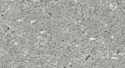 Fototapeta premium “Neutral mineral surface background with crisp detail”