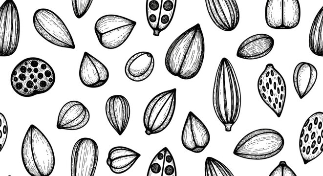 Artistic Illustration of Various Seed Types on White Background for Design Purposes