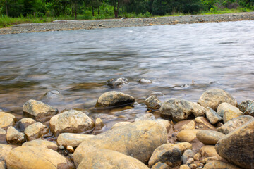 Obraz premium small rock on shallow river, the wave is smooth and the water is clear, with pine tree as background and many plantation, with some dead small wood in front, the rock is black and yellow from ore