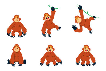 Orangutan Cartoon Character Set © alaikazizi