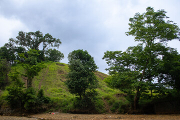 Fototapeta premium Eugenia confusa and kedawung (Parkia timoriana) tree in riverbank, with small green hill in background and the sky , But the riverbank is dirty with plastic trash