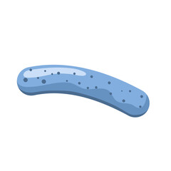 Lactobacillus probiotic bacteria