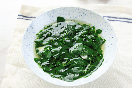 Sayur Bening Daun Kelor or Moringa Oleifera Clear Soup, Superfood for Diabetics