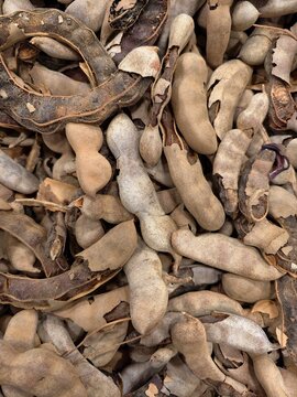 Primer plano de un pu&ntilde;ado de vainas de tamarindo enteras y parcialmente peladas mostrando la pulpa