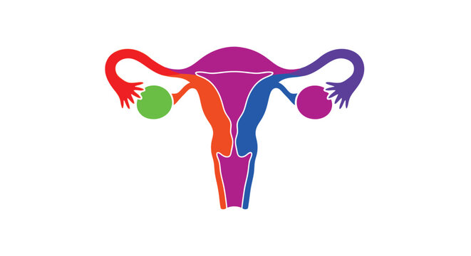 Colorful illustration depicting a female reproductive system with ovaries and fallopian tubes