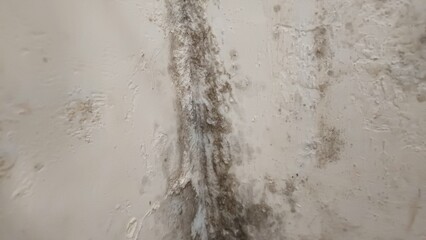 Fototapeta premium ​Dirty white concrete wall texture with mold and damp patches caused by water damage and high humidity.