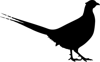 Obraz premium Pheasant silhouette vector illustration
