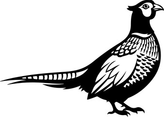 Obraz premium Pheasant silhouette vector illustration