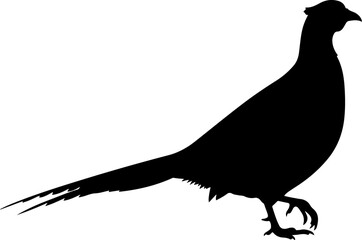 Obraz premium Pheasant silhouette vector illustration