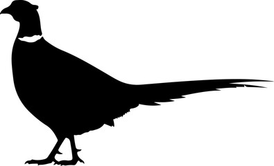 Obraz premium Pheasant silhouette vector illustration