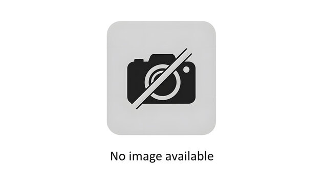Flat icon showing a camera with a diagonal strike through it indicating no photography or no image available