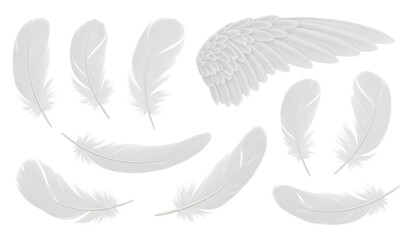 Realistic white feather vector set isolated on transparent background with soft down plumes © MstNadiya