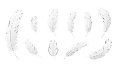 Fototapeta premium White bird feather realistic vector icons set with soft down isolated on transparent background