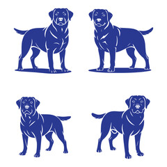 Labrador Guarding Protective Pose