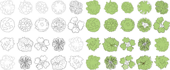 Set of architecture tree plan symbols for landscape design and site planning © Salam  stock