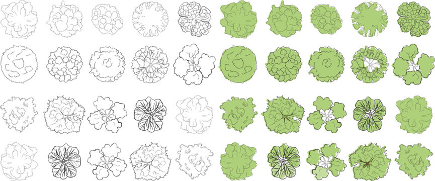 Set of architecture tree plan symbols for landscape design and site planning