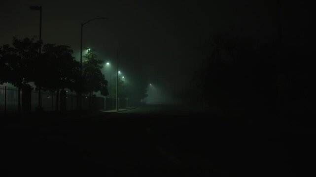 Foggy night street with rows of streetlights and trees, atmospheric urban scene with empty road soft diffused light and sense of silence and isolation
