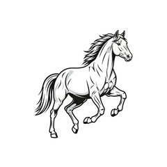 Obraz premium Majestic White Horse Galloping Gracefully in Motion