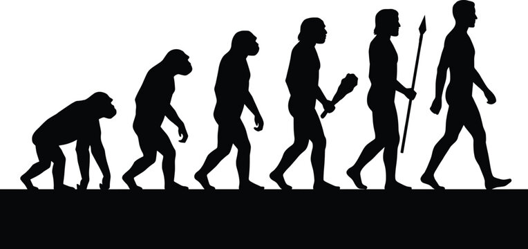 Silhouette illustration of six human evolution stages from ape to modern man with tools for science and education design content