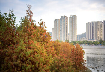 Obraz premium Autumn Scene by Maluan Bay, Xiamen, Fujian