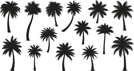 Naklejka premium Palm tree silhouette collection, tropical beach icons, exotic botanical shapes, summer vacation design elements, nature inspired decorative artwork, flat vector illustration